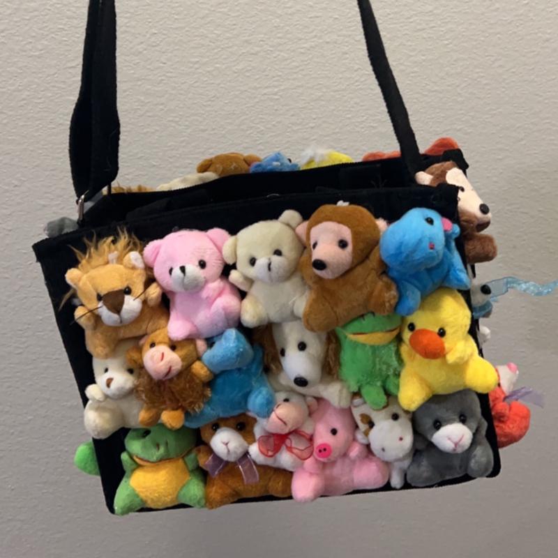 Teddy Bear Bag